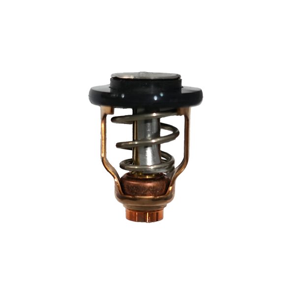 Suzuki Marine Thermostat (71sC) - 17670-90J11