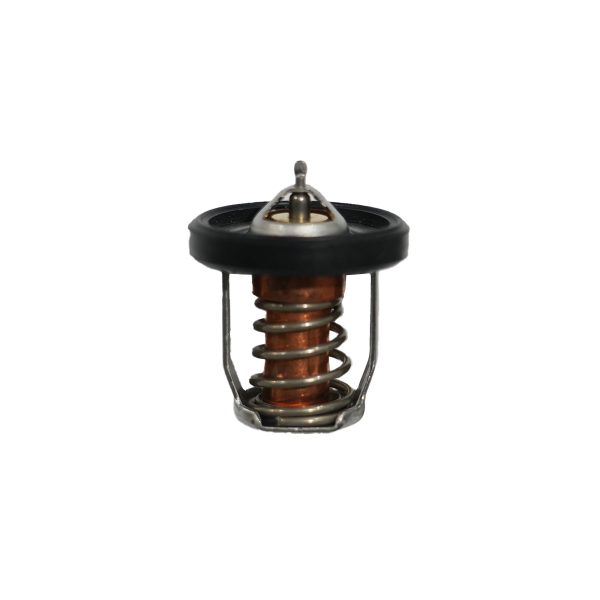 Suzuki Marine Thermostat (60c) - 17670-94J02