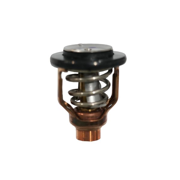 Suzuki Marine Thermostat (60c) - 17670-98L20